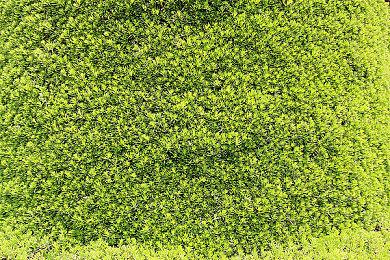 抗日游戏《山河在》开发日志  近战和绳索攀爬展示